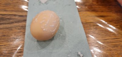 277551972 5089350334467627 9018869009759675529 n