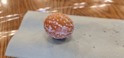 277573494 5089351444467516 1819407699809653943 n