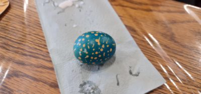 277660533 5089352177800776 4780132396154047386 n