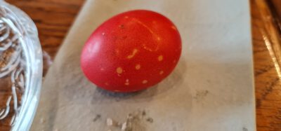 277662105 5089352091134118 3086147412372604422 n