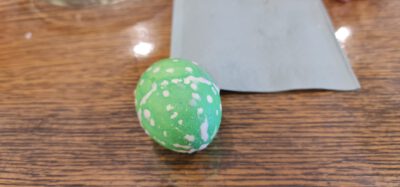 277662266 5089350734467587 3078134264300565332 n