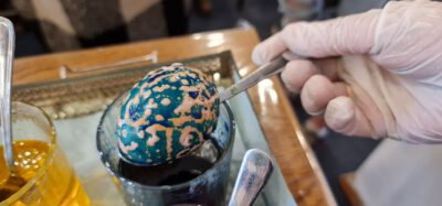 277665166 5089352367800757 6434404233456712604 n