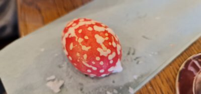 277667521 5089351131134214 397349036167197368 n