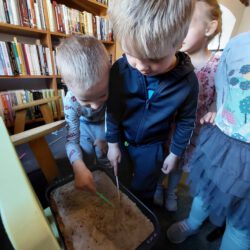 280330582 5196819320387394 3408498718341185833 n