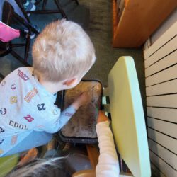 280374257 5196820930387233 9007388881350989380 n