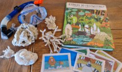 280570567 5196906577045335 8288894981255547849 n